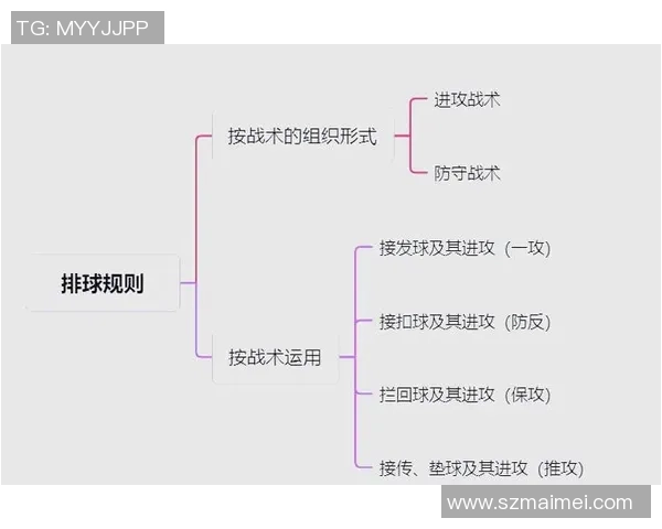 成都排球队进攻体系解析：排球战术的创新与实践探索